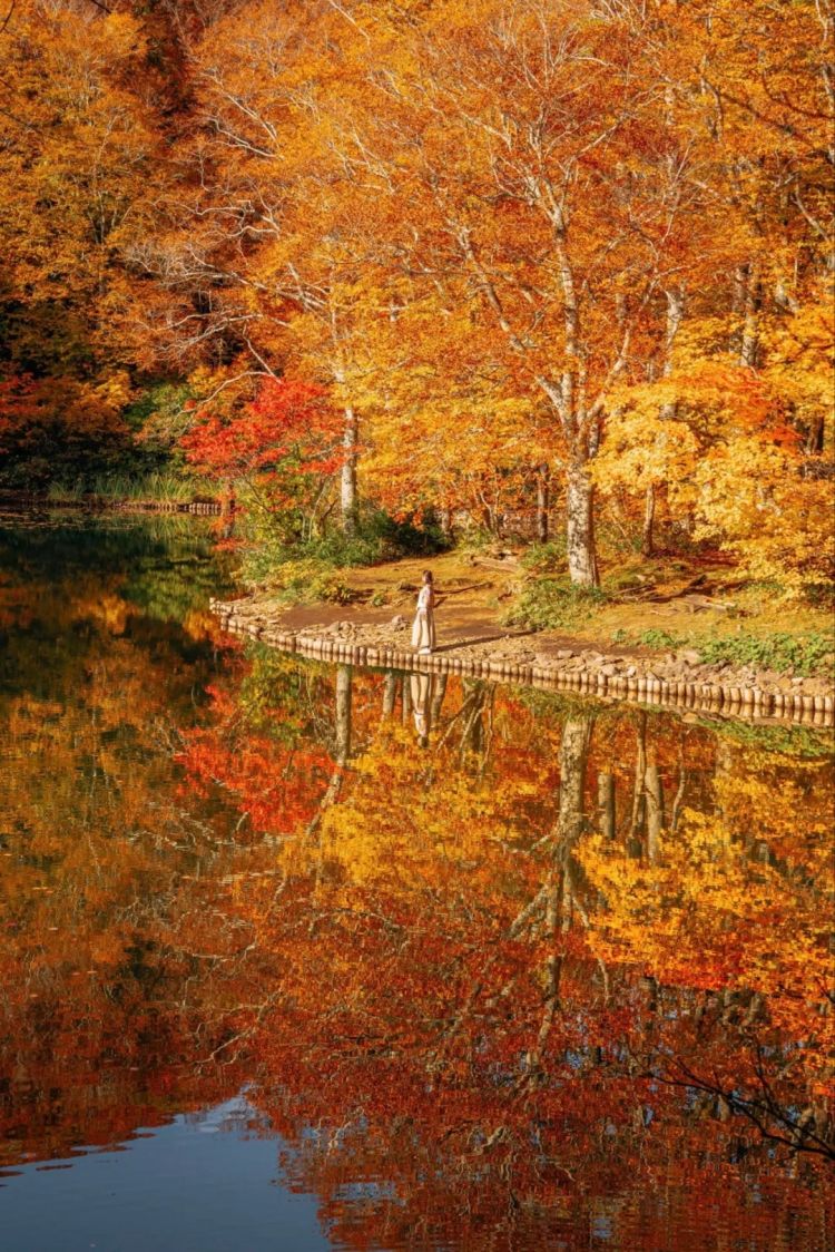 第258期:高市早苗首相梦碎?米仓凉子涉毒?NHK官宣红白主持人 绫濑遥领衔;大阪世博闭幕 | 百通板 第258期:高市早苗首相梦碎?米仓凉子涉毒?NHK官宣红白主持人 绫濑遥领衔;大阪世博闭幕 | 百通板