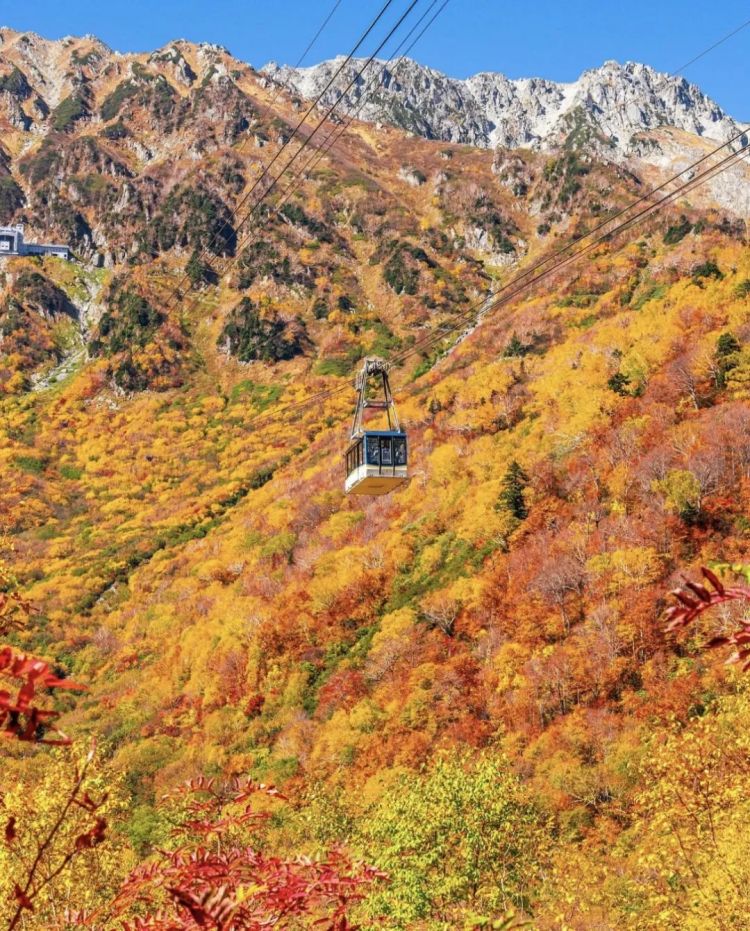 第259期:高市早苗当选 日本首位女首相诞生;露比酱上红白?藤冈靛宣布离婚;村山富市逝世 | 百通板 第259期:高市早苗当选 日本首位女首相诞生;露比酱上红白?藤冈靛宣布离婚;村山富市逝世 | 百通板