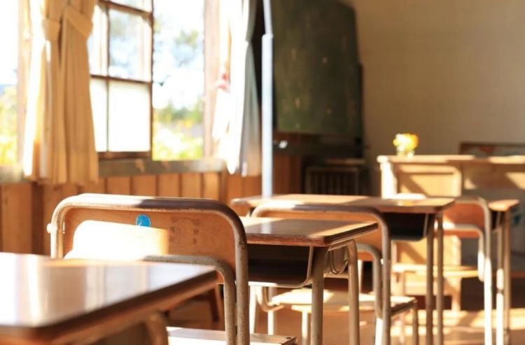 第260期：特朗普与高市早苗会面；龟梨和也与田中美奈实分手？日本熊灾肆虐；安倍晋三枪击案公审 | 百通板