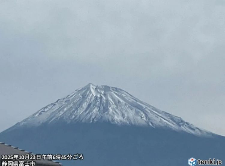 第260期：特朗普与高市早苗会面；龟梨和也与田中美奈实分手？日本熊灾肆虐；安倍晋三枪击案公审 | 百通板