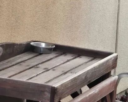 日本母亲杀女冰柜藏尸20年后自首，对外打造“好人人设”，对内让丈夫和婆婆集体沉默？！