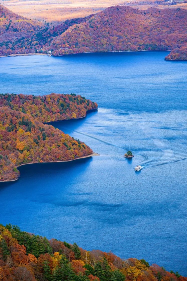 第261期：中国对日免签延长；木村拓哉长女恋爱？中日轮值APEC主席国；哥斯拉续作定名；日本熊灾 | 百通板