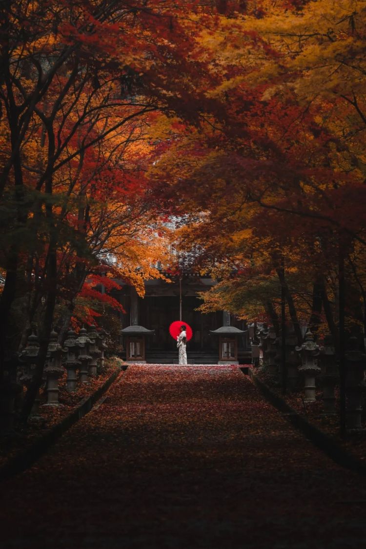 第262期：suica西瓜卡企鹅要毕业？宝可梦新作定档明年；日系车企财报赤字频出？日本熊灾破纪录；aespa将登红白？| 百通板