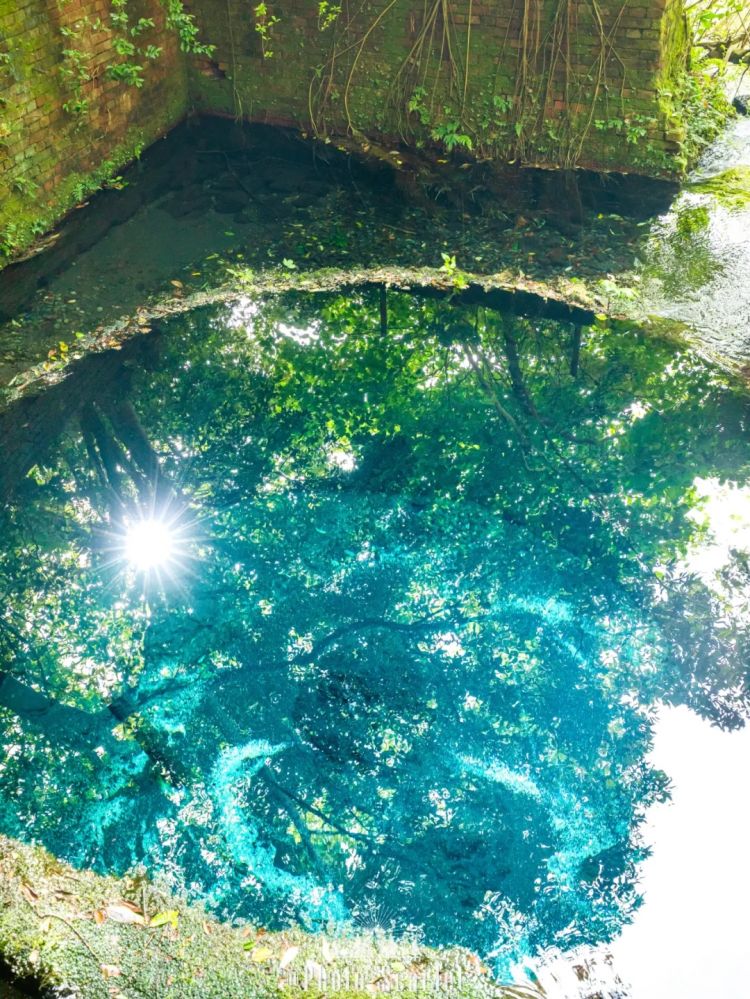 第262期：suica西瓜卡企鹅要毕业？宝可梦新作定档明年；日系车企财报赤字频出？日本熊灾破纪录；aespa将登红白？| 百通板