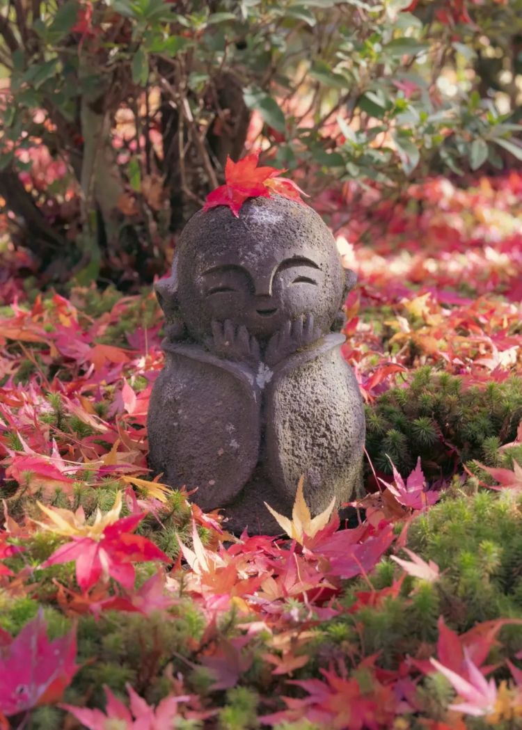 第262期：suica西瓜卡企鹅要毕业？宝可梦新作定档明年；日系车企财报赤字频出？日本熊灾破纪录；aespa将登红白？| 百通板