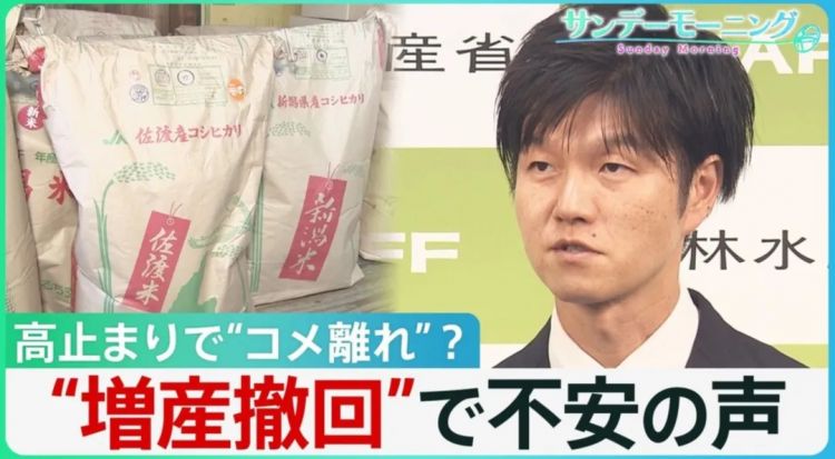 第262期：suica西瓜卡企鹅要毕业？宝可梦新作定档明年；日系车企财报赤字频出？日本熊灾破纪录；aespa将登红白？| 百通板