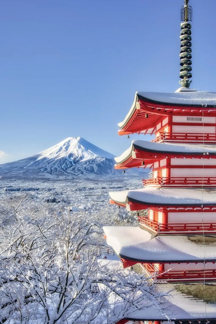 第262期：suica西瓜卡企鹅要毕业？宝可梦新作定档明年；日系车企财报赤字频出？日本熊灾破纪录；aespa将登红白？| 百通板