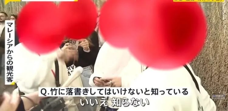 外国游客在竹子上乱涂乱画,日本人崩溃:我把竹子砍了还不行吗? 外国游客在竹子上乱涂乱画,日本人崩溃:我把竹子砍了还不行吗?