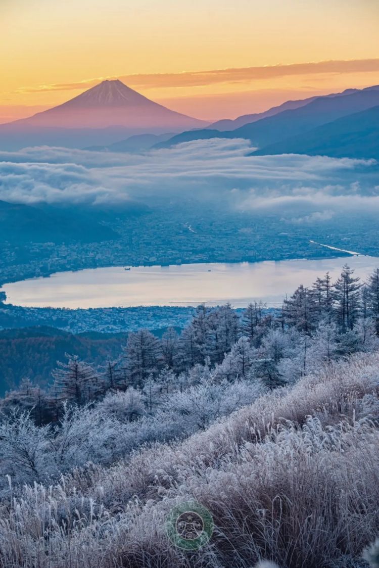 第263期：赴日旅游减少 日本将损失1.7万亿？NHK红白歌会名单出炉；日本GD日本GDP现负增长 | 百通板