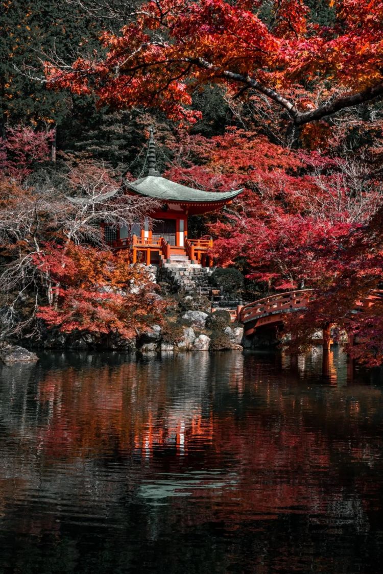 第264期：在华演出接连取消 日本音乐人怒批日本政府？中国暂停日本水产进口；唱片大奖公布 | 百通板