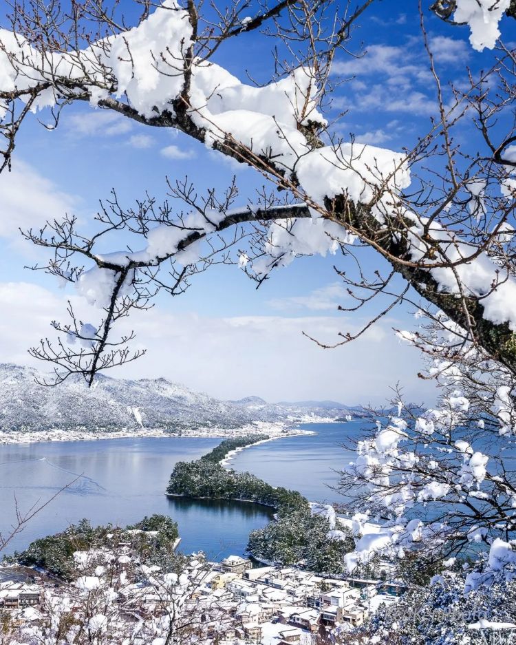 第265期：高市早苗名言当选日本年度流行语？东京拟提高住宿税；滨崎步演唱会紧急叫停？| 百通板