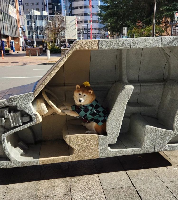 第265期：高市早苗名言当选日本年度流行语？东京拟提高住宿税；滨崎步演唱会紧急叫停？| 百通板