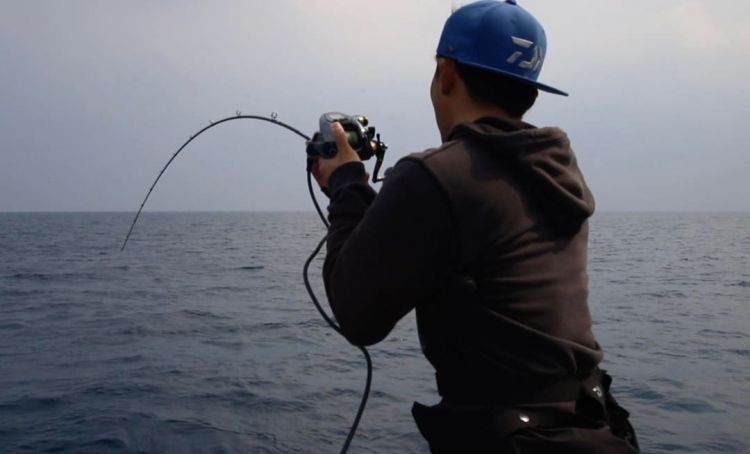 悠久的时间流逝，自然与历史交织的岛【松岛】