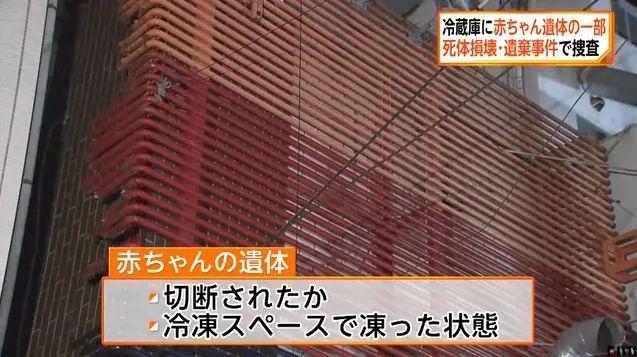 东京一风俗店冰箱惊现婴儿头颅与四肢,网友:身体去哪了? 东京一风俗店冰箱惊现婴儿头颅与四肢,网友:身体去哪了?