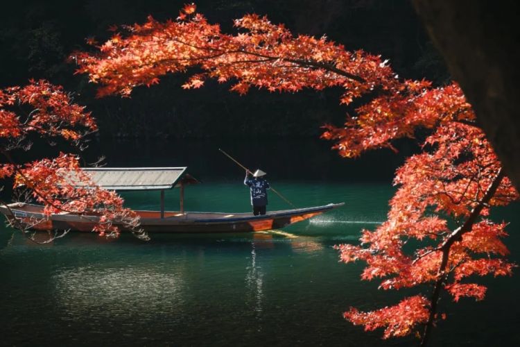 第267期：新一批731细菌战罪证公布；日本年度汉字揭晓；日本近7成支持女性天皇？日本将没有大熊猫？| 百通板