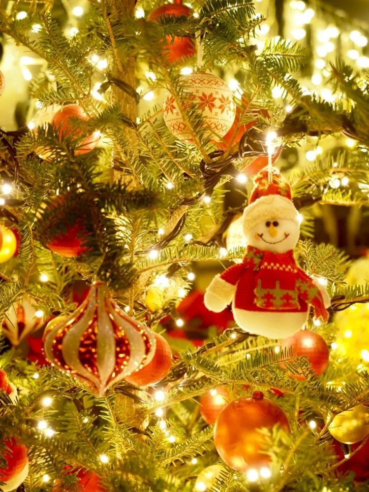 第268期:日本拥核论遭日本民众强烈抗议;安倍晋三刺杀案或判刑无期?新木优子中岛裕翔将结婚?福原爱再婚 | 百通板 第268期:日本拥核论遭日本民众强烈抗议;安倍晋三刺杀案或判刑无期?新木优子中岛裕翔将结婚?福原爱再婚 | 百通板