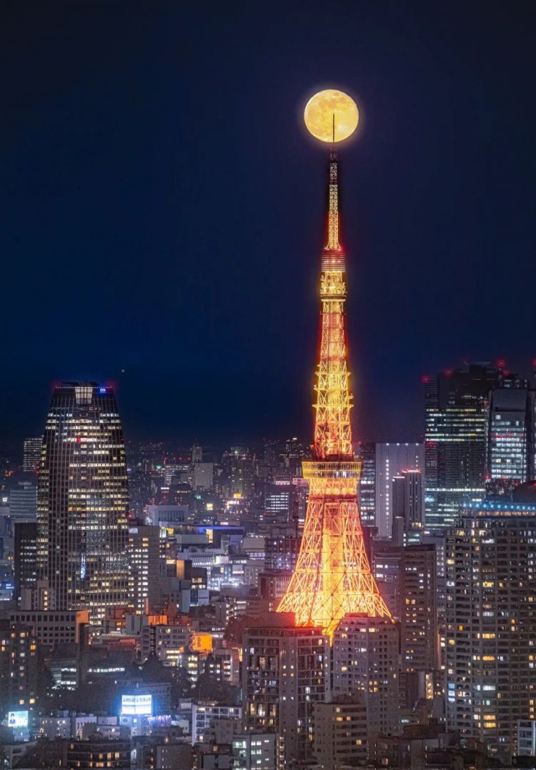 第268期:日本拥核论遭日本民众强烈抗议;安倍晋三刺杀案或判刑无期?新木优子中岛裕翔将结婚?福原爱再婚 | 百通板 第268期:日本拥核论遭日本民众强烈抗议;安倍晋三刺杀案或判刑无期?新木优子中岛裕翔将结婚?福原爱再婚 | 百通板