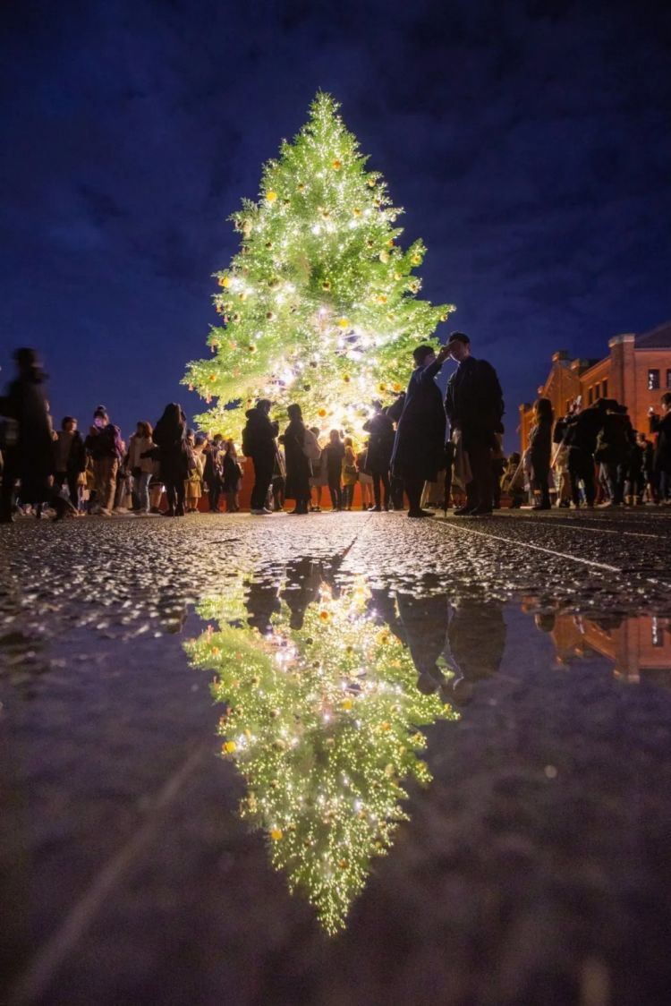 第268期:日本拥核论遭日本民众强烈抗议;安倍晋三刺杀案或判刑无期?新木优子中岛裕翔将结婚?福原爱再婚 | 百通板 第268期:日本拥核论遭日本民众强烈抗议;安倍晋三刺杀案或判刑无期?新木优子中岛裕翔将结婚?福原爱再婚 | 百通板