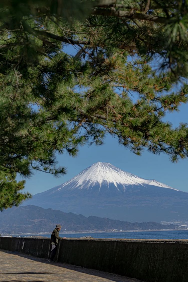 第268期:日本拥核论遭日本民众强烈抗议;安倍晋三刺杀案或判刑无期?新木优子中岛裕翔将结婚?福原爱再婚 | 百通板 第268期:日本拥核论遭日本民众强烈抗议;安倍晋三刺杀案或判刑无期?新木优子中岛裕翔将结婚?福原爱再婚 | 百通板