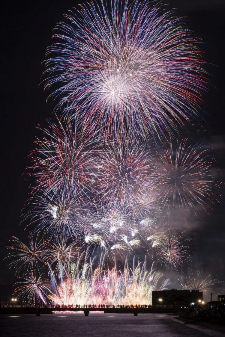 第269期：日本投入62亿应对熊害；松田圣子加盟红白；堂本光一宣布结婚；日本出生率再创新低？全球百大最美面孔出炉 | 百通板