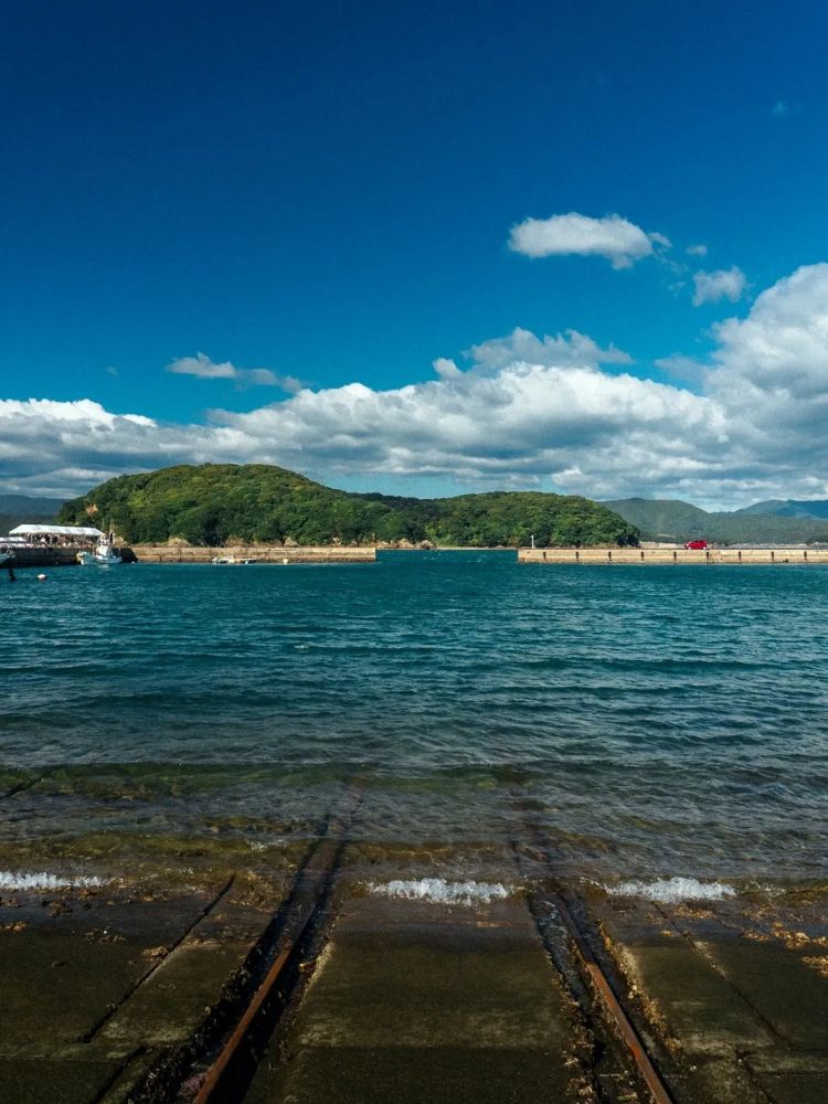 第270期：元旦结婚潮 日剧吧四大台柱均已结婚；印度超越日本成第四大经济体？永野芽郁更新博客 | 百通板