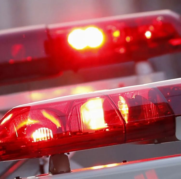 第270期：元旦结婚潮 日剧吧四大台柱均已结婚；印度超越日本成第四大经济体？永野芽郁更新博客 | 百通板