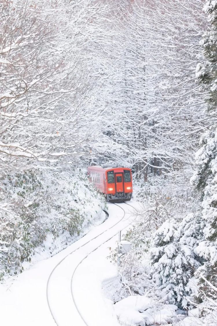 第270期：元旦结婚潮 日剧吧四大台柱均已结婚；印度超越日本成第四大经济体？永野芽郁更新博客 | 百通板