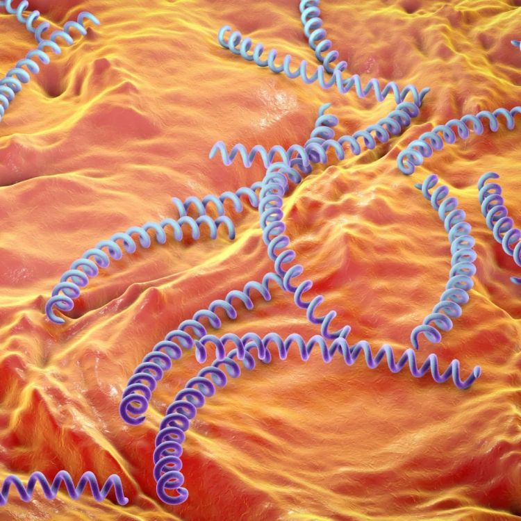 日本飙升的梅毒,到底是什么毒? 日本飙升的梅毒,到底是什么毒?