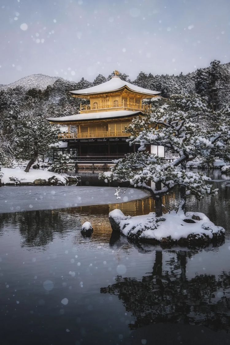 第271期:中国对日本实施出口管制;北海道餐馆墙壁藏尸?高市早苗将解散众议院 日本或提前大选?XG改名 | 百通板 第271期:中国对日本实施出口管制;北海道餐馆墙壁藏尸?高市早苗将解散众议院 日本或提前大选?XG改名 | 百通板