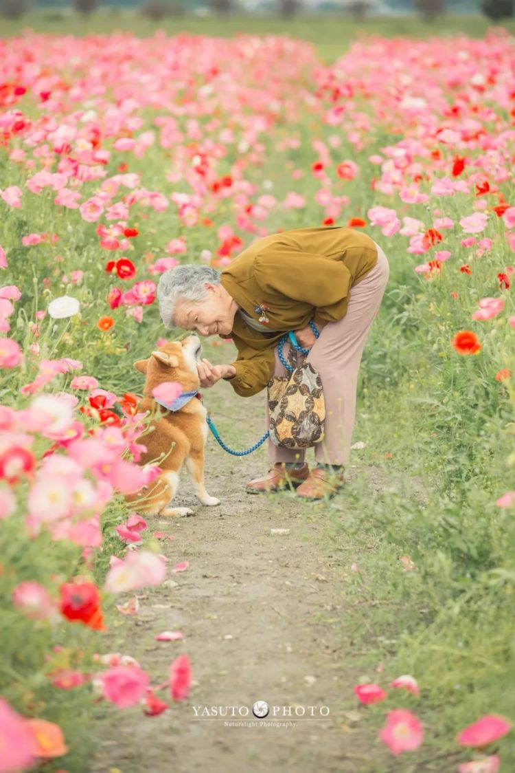 第271期:中国对日本实施出口管制;北海道餐馆墙壁藏尸?高市早苗将解散众议院 日本或提前大选?XG改名 | 百通板 第271期:中国对日本实施出口管制;北海道餐馆墙壁藏尸?高市早苗将解散众议院 日本或提前大选?XG改名 | 百通板