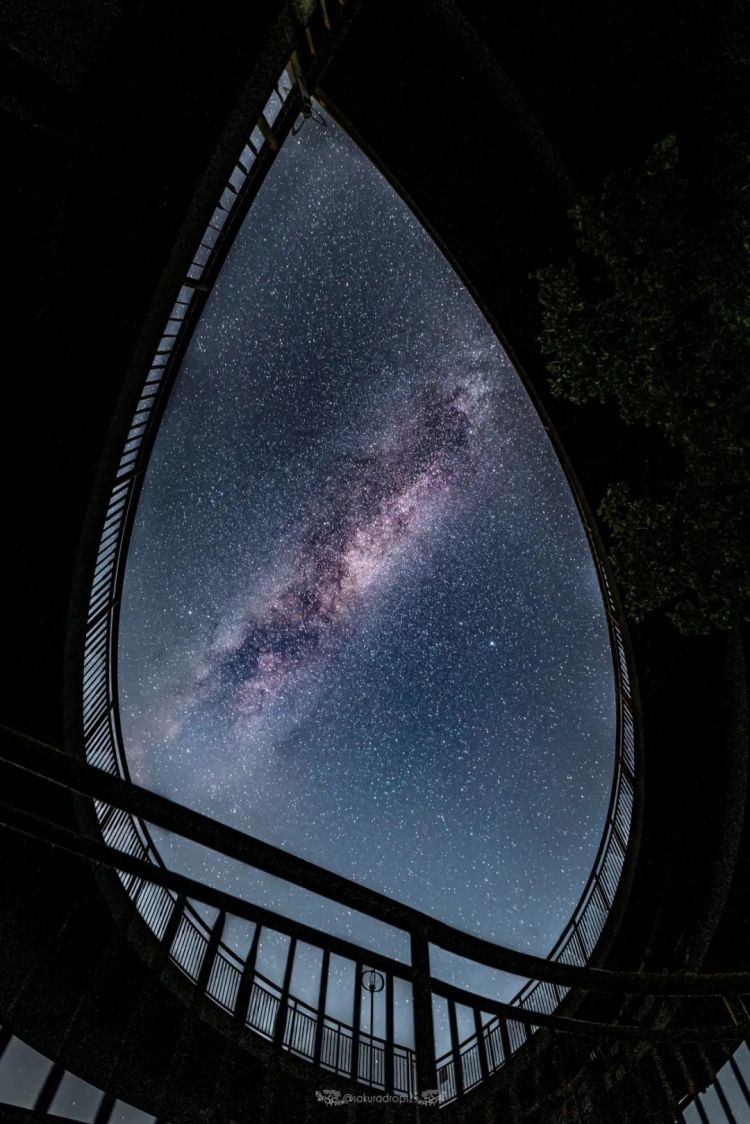 第271期:中国对日本实施出口管制;北海道餐馆墙壁藏尸?高市早苗将解散众议院 日本或提前大选?XG改名 | 百通板 第271期:中国对日本实施出口管制;北海道餐馆墙壁藏尸?高市早苗将解散众议院 日本或提前大选?XG改名 | 百通板