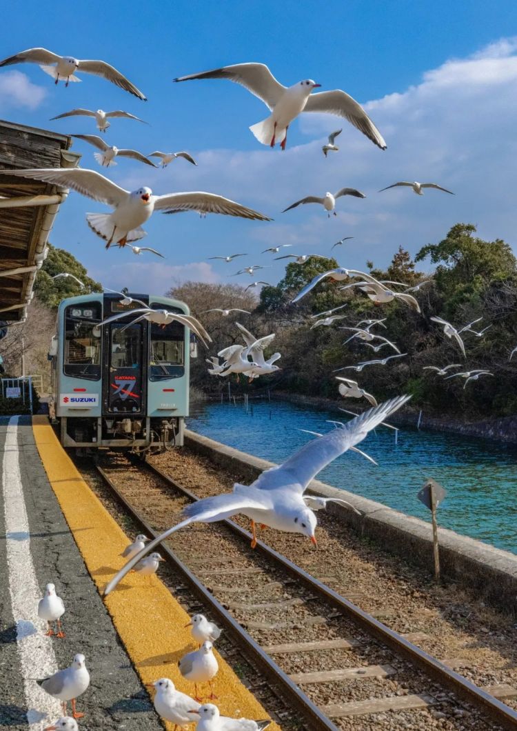 第271期:中国对日本实施出口管制;北海道餐馆墙壁藏尸?高市早苗将解散众议院 日本或提前大选?XG改名 | 百通板 第271期:中国对日本实施出口管制;北海道餐馆墙壁藏尸?高市早苗将解散众议院 日本或提前大选?XG改名 | 百通板