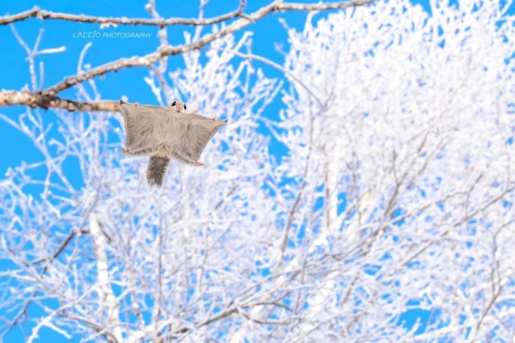 第271期:中国对日本实施出口管制;北海道餐馆墙壁藏尸?高市早苗将解散众议院 日本或提前大选?XG改名 | 百通板 第271期:中国对日本实施出口管制;北海道餐馆墙壁藏尸?高市早苗将解散众议院 日本或提前大选?XG改名 | 百通板