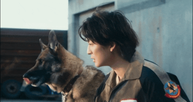 好厉害!狗狗电影竟然拍出了苦难人间 好厉害!狗狗电影竟然拍出了苦难人间