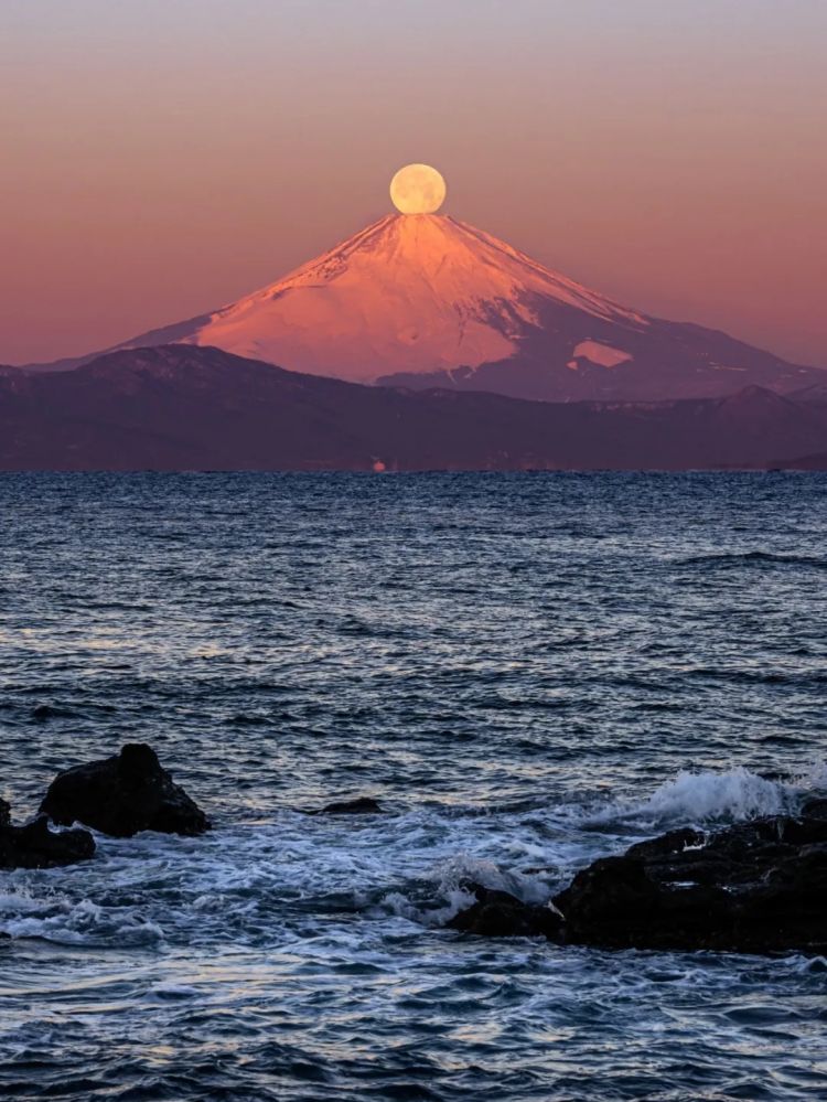 第273期:安倍晋三遇刺案宣判无期;提前大选 高市早苗支持率骤降?上野双胞胎熊猫回国 日本再无大熊猫?| 百通板 第273期:安倍晋三遇刺案宣判无期;提前大选 高市早苗支持率骤降?上野双胞胎熊猫回国 日本再无大熊猫?| 百通板