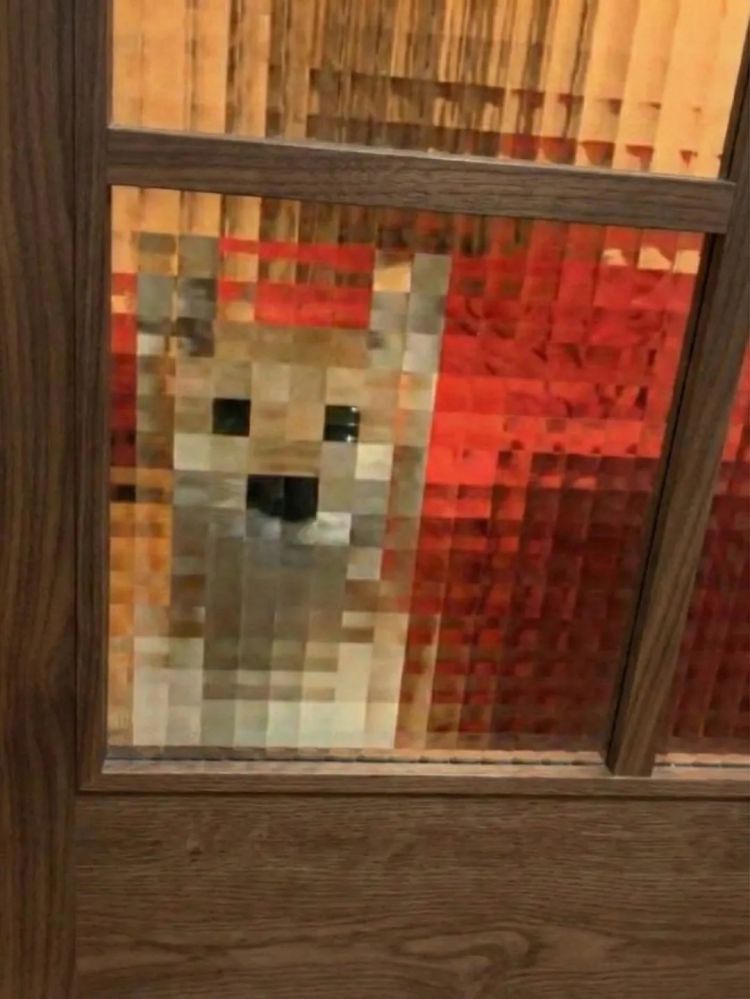 第273期:安倍晋三遇刺案宣判无期;提前大选 高市早苗支持率骤降?上野双胞胎熊猫回国 日本再无大熊猫?| 百通板 第273期:安倍晋三遇刺案宣判无期;提前大选 高市早苗支持率骤降?上野双胞胎熊猫回国 日本再无大熊猫?| 百通板