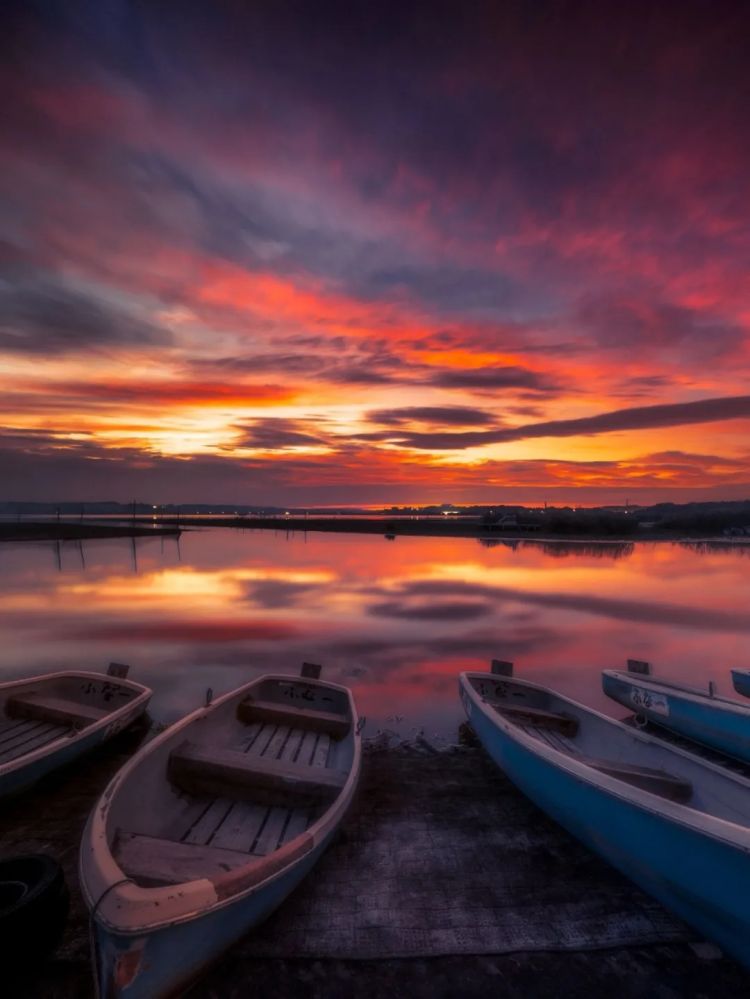 第273期:安倍晋三遇刺案宣判无期;提前大选 高市早苗支持率骤降?上野双胞胎熊猫回国 日本再无大熊猫?| 百通板 第273期:安倍晋三遇刺案宣判无期;提前大选 高市早苗支持率骤降?上野双胞胎熊猫回国 日本再无大熊猫?| 百通板