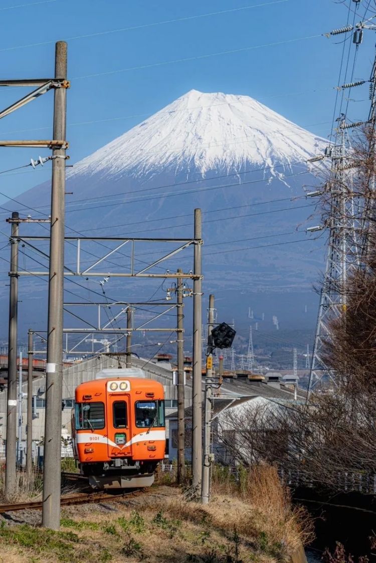 第274期:安倍晋三遇刺案山上彻也将上诉;日本新首相将于18日选出;米仓凉子复出?石原里美木村拓哉梦幻联动?| 百通板 第274期:安倍晋三遇刺案山上彻也将上诉;日本新首相将于18日选出;米仓凉子复出?石原里美木村拓哉梦幻联动?| 百通板