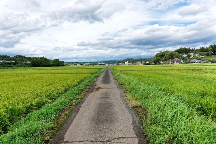 中国42岁男子猥亵老人被捕,而且还是第三次了?都给日本人整无语了…… 中国42岁男子猥亵老人被捕,而且还是第三次了?都给日本人整无语了……