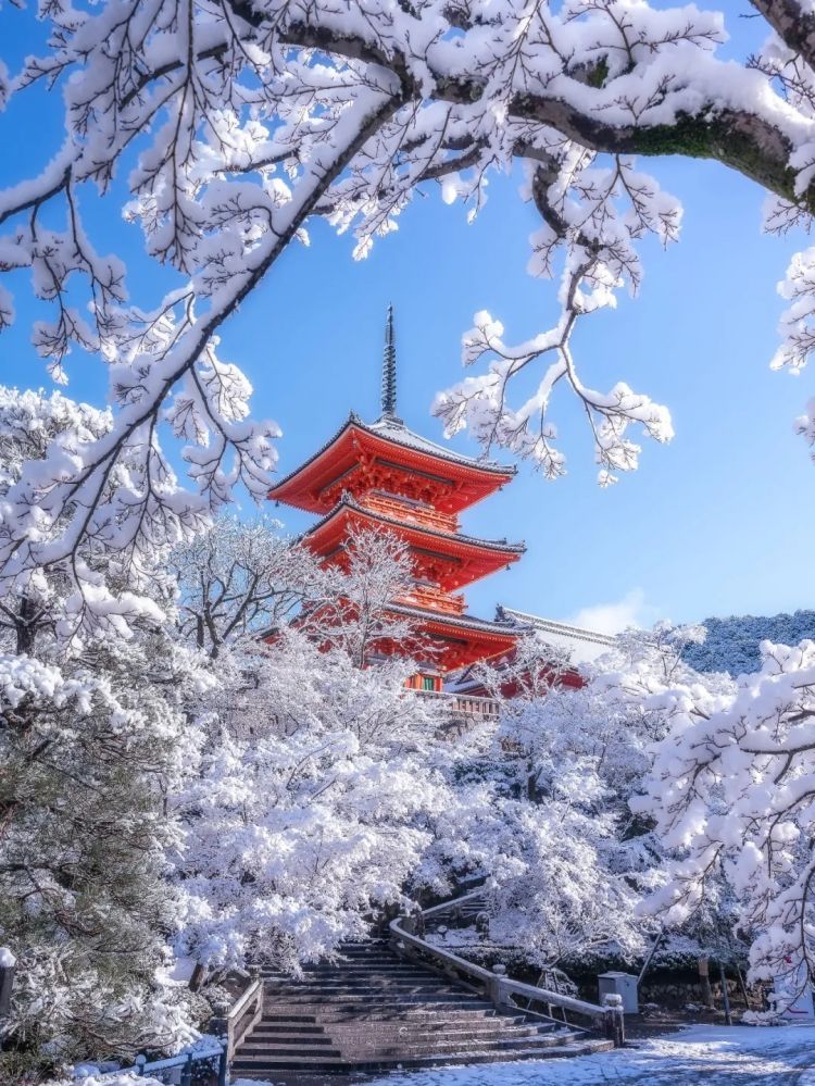 第274期:安倍晋三遇刺案山上彻也将上诉;日本新首相将于18日选出;米仓凉子复出?石原里美木村拓哉梦幻联动?| 百通板 第274期:安倍晋三遇刺案山上彻也将上诉;日本新首相将于18日选出;米仓凉子复出?石原里美木村拓哉梦幻联动?| 百通板