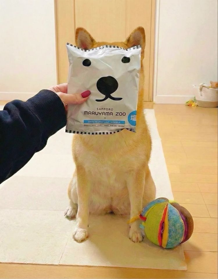 第274期:安倍晋三遇刺案山上彻也将上诉;日本新首相将于18日选出;米仓凉子复出?石原里美木村拓哉梦幻联动?| 百通板 第274期:安倍晋三遇刺案山上彻也将上诉;日本新首相将于18日选出;米仓凉子复出?石原里美木村拓哉梦幻联动?| 百通板