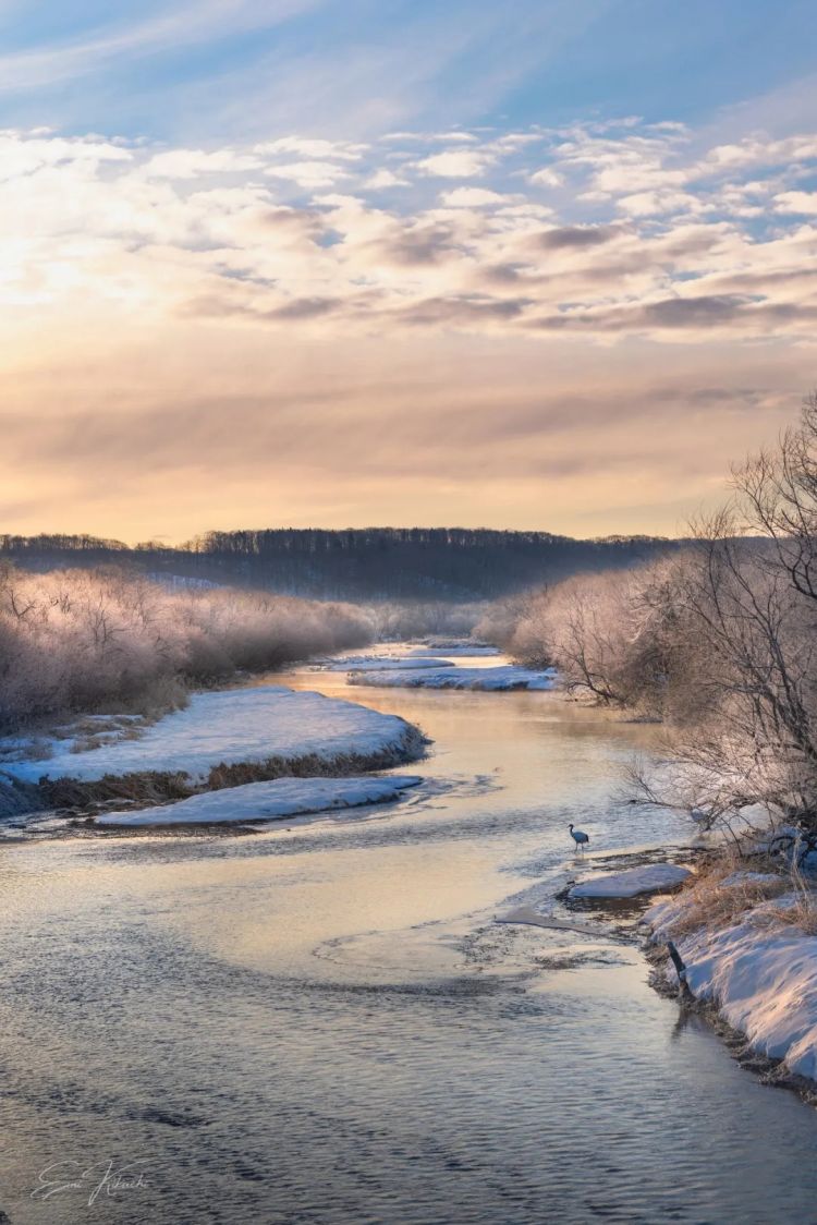 第274期:安倍晋三遇刺案山上彻也将上诉;日本新首相将于18日选出;米仓凉子复出?石原里美木村拓哉梦幻联动?| 百通板 第274期:安倍晋三遇刺案山上彻也将上诉;日本新首相将于18日选出;米仓凉子复出?石原里美木村拓哉梦幻联动?| 百通板