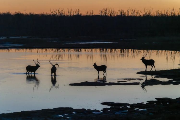 第274期:安倍晋三遇刺案山上彻也将上诉;日本新首相将于18日选出;米仓凉子复出?石原里美木村拓哉梦幻联动?| 百通板 第274期:安倍晋三遇刺案山上彻也将上诉;日本新首相将于18日选出;米仓凉子复出?石原里美木村拓哉梦幻联动?| 百通板