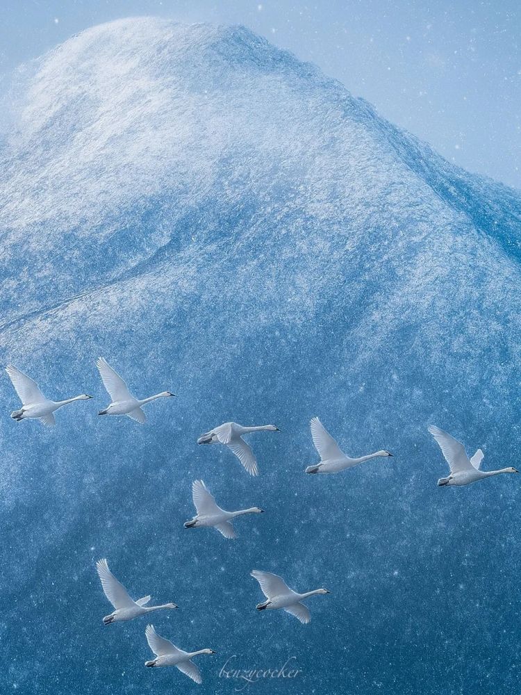 第274期:安倍晋三遇刺案山上彻也将上诉;日本新首相将于18日选出;米仓凉子复出?石原里美木村拓哉梦幻联动?| 百通板 第274期:安倍晋三遇刺案山上彻也将上诉;日本新首相将于18日选出;米仓凉子复出?石原里美木村拓哉梦幻联动?| 百通板