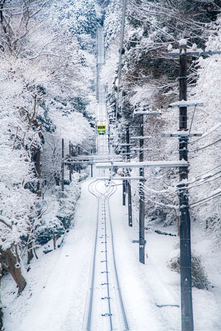第275期:众议院选举大胜 日本进入高市早苗首相时代?米兰冬奥日本花滑团体摘银;平成的山口百惠闪婚?| 百通板 第275期:众议院选举大胜 日本进入高市早苗首相时代?米兰冬奥日本花滑团体摘银;平成的山口百惠闪婚?| 百通板