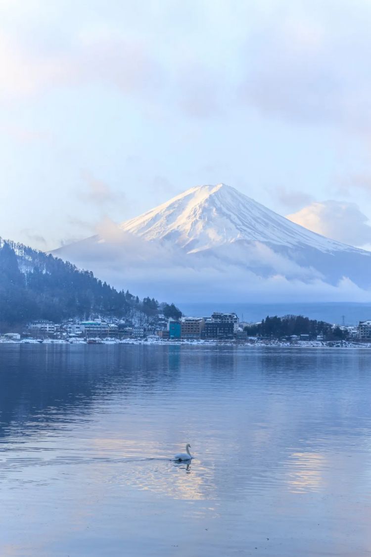 第275期:众议院选举大胜 日本进入高市早苗首相时代?米兰冬奥日本花滑团体摘银;平成的山口百惠闪婚?| 百通板 第275期:众议院选举大胜 日本进入高市早苗首相时代?米兰冬奥日本花滑团体摘银;平成的山口百惠闪婚?| 百通板