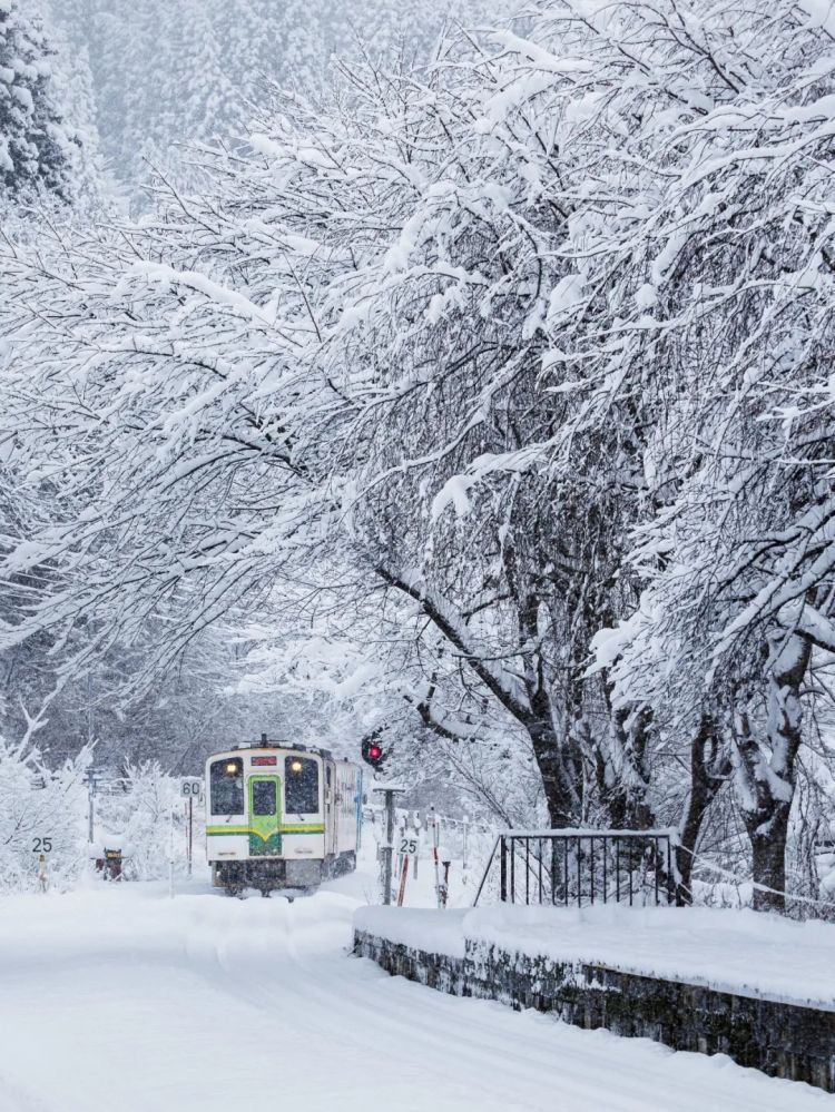 第275期:众议院选举大胜 日本进入高市早苗首相时代?米兰冬奥日本花滑团体摘银;平成的山口百惠闪婚?| 百通板 第275期:众议院选举大胜 日本进入高市早苗首相时代?米兰冬奥日本花滑团体摘银;平成的山口百惠闪婚?| 百通板