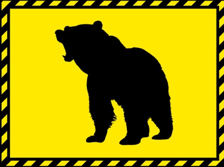 高市早苗连任;米兰冬奥男子花滑爆冷?《柯南》毛利兰声优病休 娜美声优代班?中森明菜复出巡演;| 百通板 高市早苗连任;米兰冬奥男子花滑爆冷?《柯南》毛利兰声优病休 娜美声优代班?中森明菜复出巡演;| 百通板