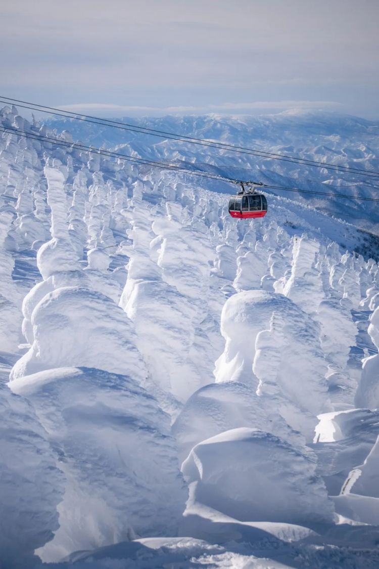 高市早苗连任;米兰冬奥男子花滑爆冷?《柯南》毛利兰声优病休 娜美声优代班?中森明菜复出巡演;| 百通板 高市早苗连任;米兰冬奥男子花滑爆冷?《柯南》毛利兰声优病休 娜美声优代班?中森明菜复出巡演;| 百通板