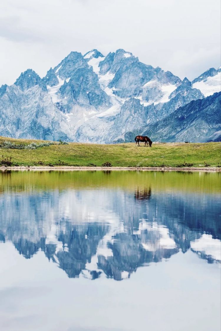 高市早苗连任;米兰冬奥男子花滑爆冷?《柯南》毛利兰声优病休 娜美声优代班?中森明菜复出巡演;| 百通板 高市早苗连任;米兰冬奥男子花滑爆冷?《柯南》毛利兰声优病休 娜美声优代班?中森明菜复出巡演;| 百通板